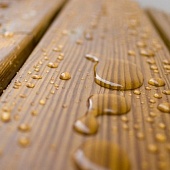 ��� ������� ��������� 				